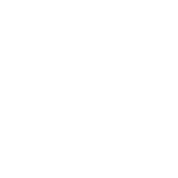 jewellery icon 1