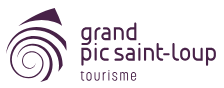 logo-grand-pic-saint-loup